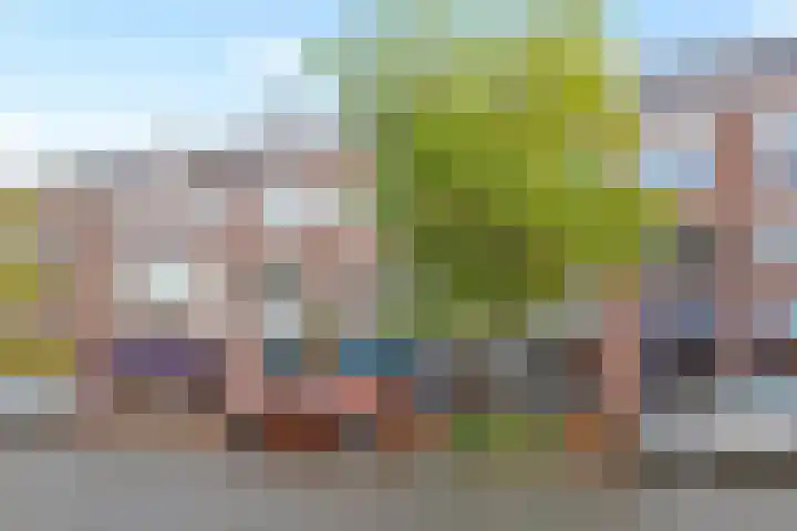 Theresiastraat 65 A Den Haag thumbnail 28