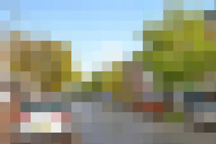 Theresiastraat 65 A Den Haag thumbnail 29