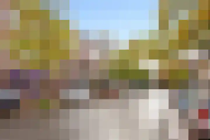 Theresiastraat 65 A Den Haag thumbnail 30