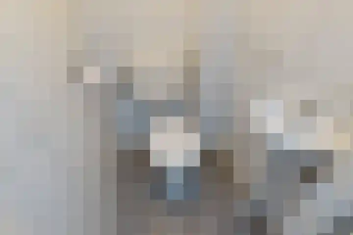 Theresiastraat 65 A Den Haag thumbnail 8