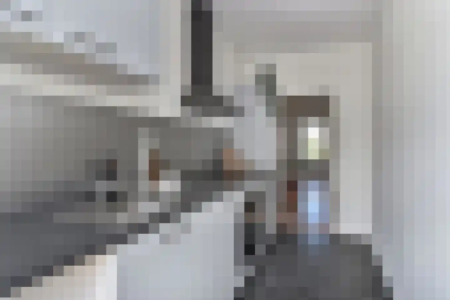 Theresiastraat 75 B Den Haag thumbnail 17