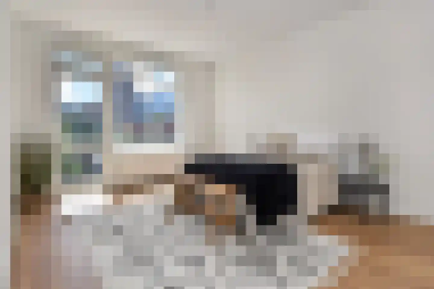 Theresiastraat 75 B Den Haag thumbnail 20