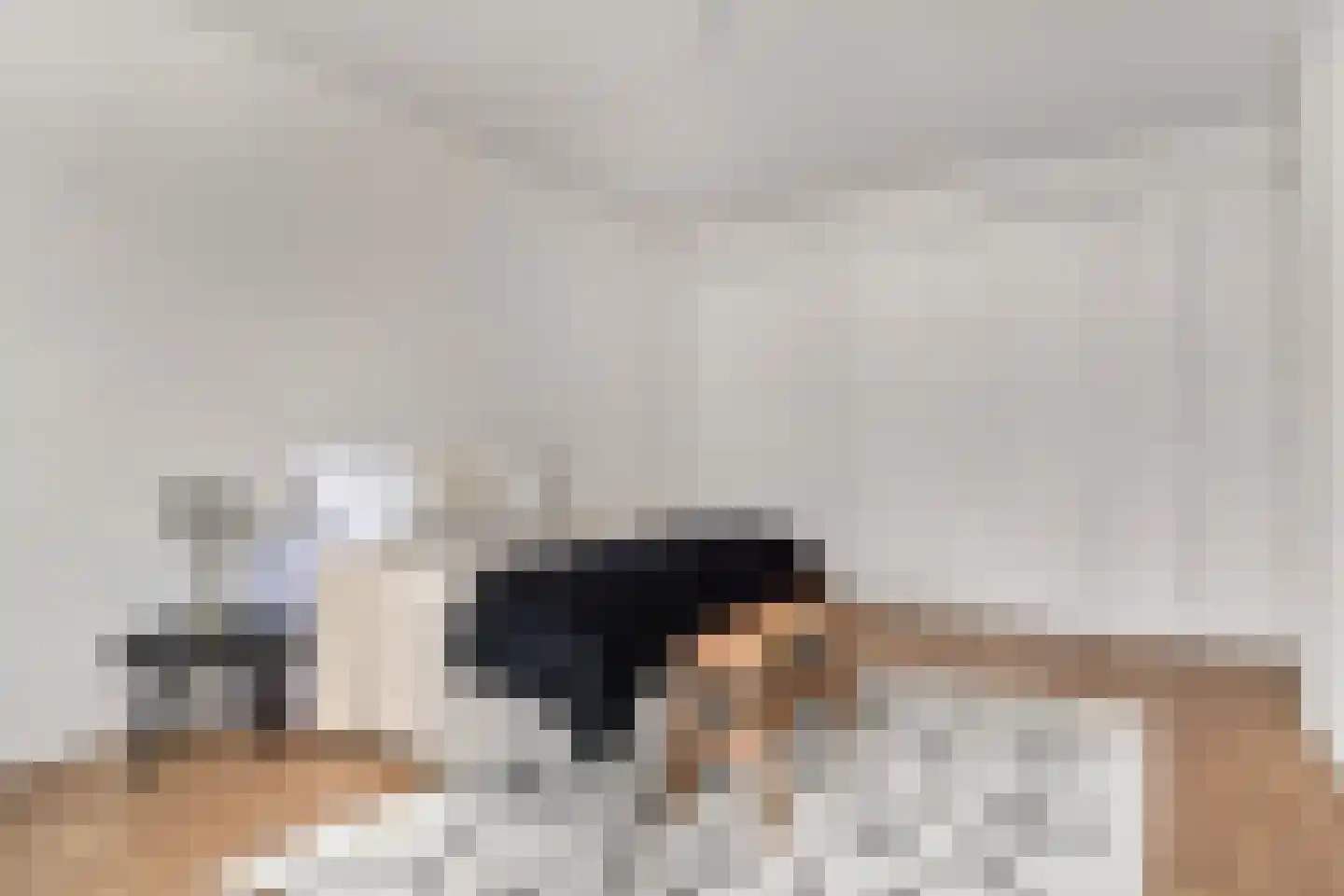 Theresiastraat 75 B Den Haag thumbnail 21