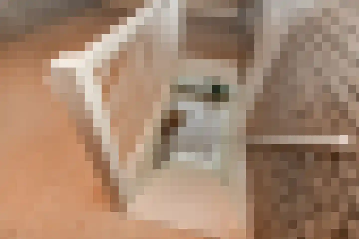 Theresiastraat 75 B Den Haag thumbnail 30