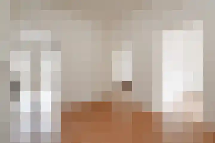 Theresiastraat 79 A Den Haag thumbnail 10