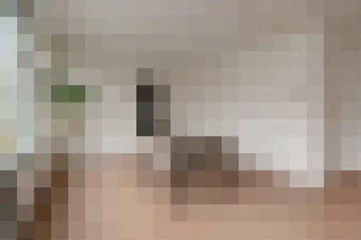 Theresiastraat 79 A Den Haag thumbnail 14