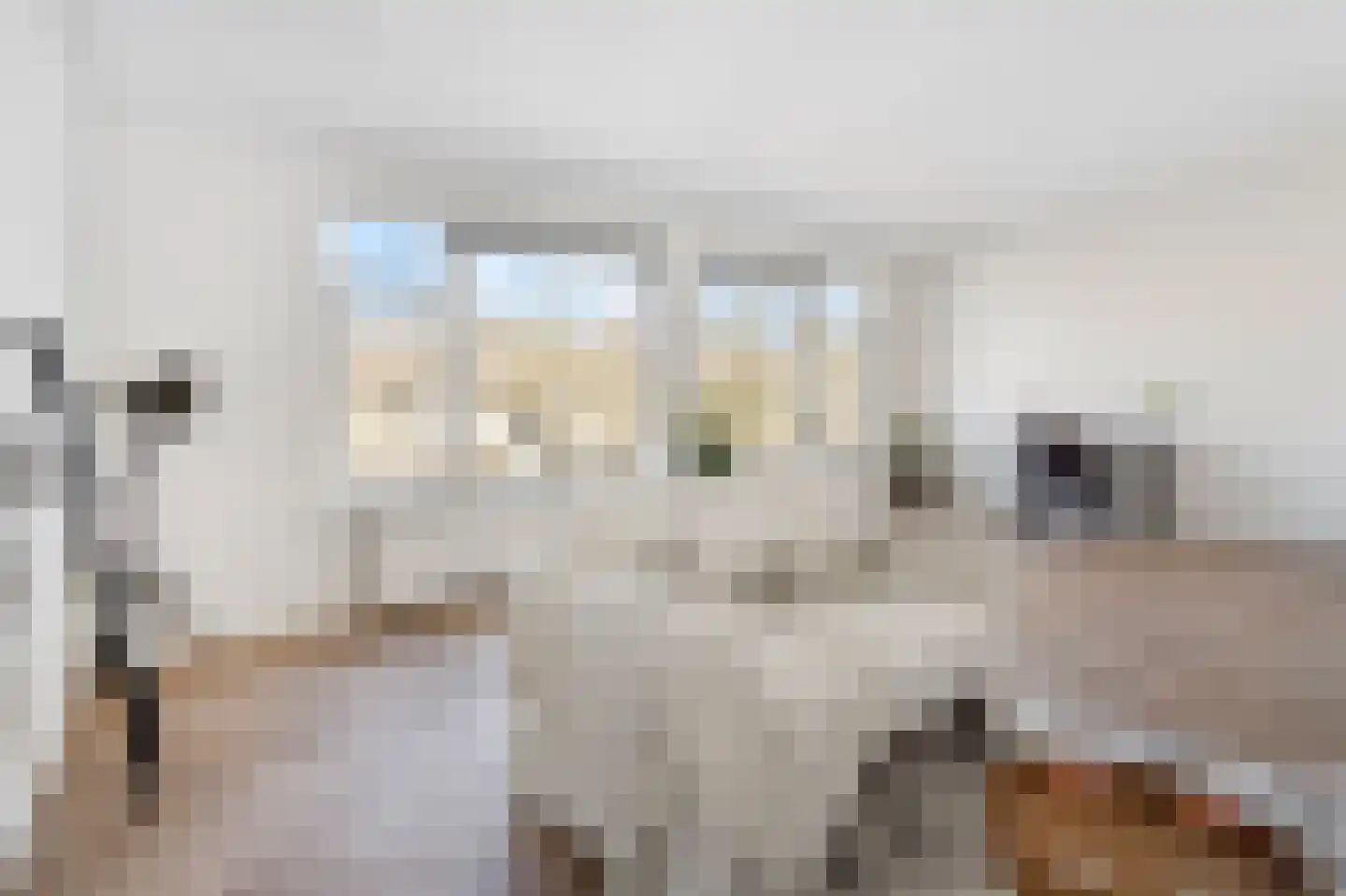Theresiastraat 79 A Den Haag thumbnail 20