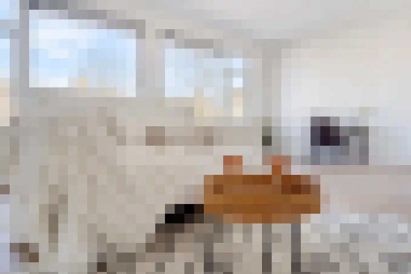 Theresiastraat 79 A Den Haag thumbnail 22