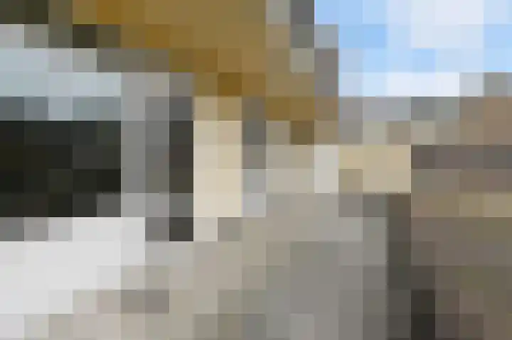 Theresiastraat 79 A Den Haag thumbnail 25