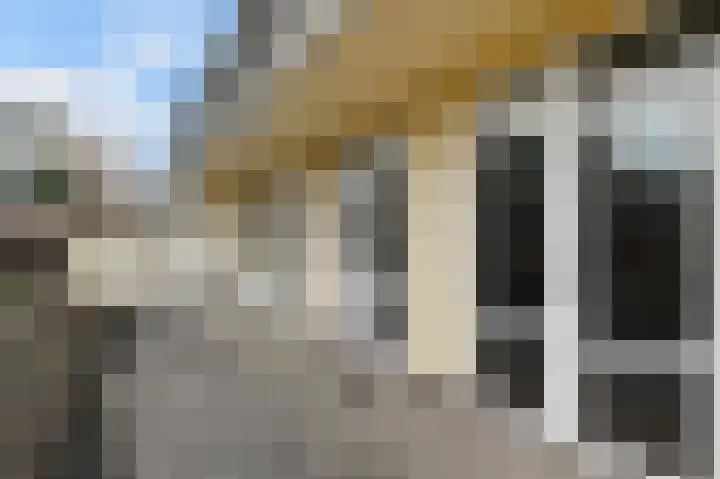 Theresiastraat 79 A Den Haag thumbnail 26