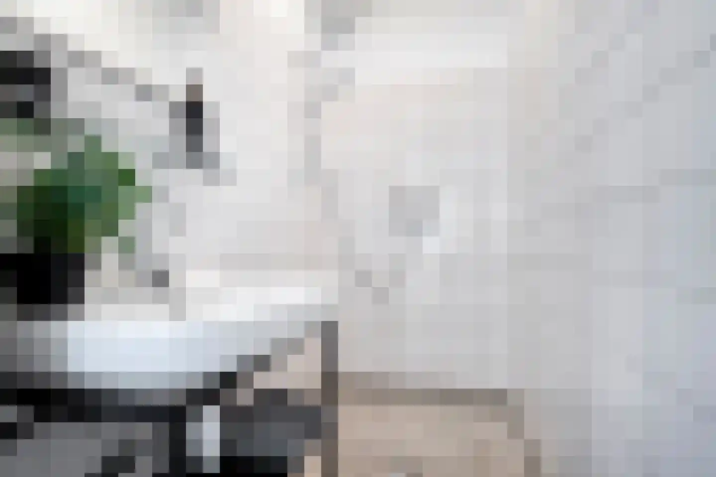 Theresiastraat 79 A Den Haag thumbnail 33