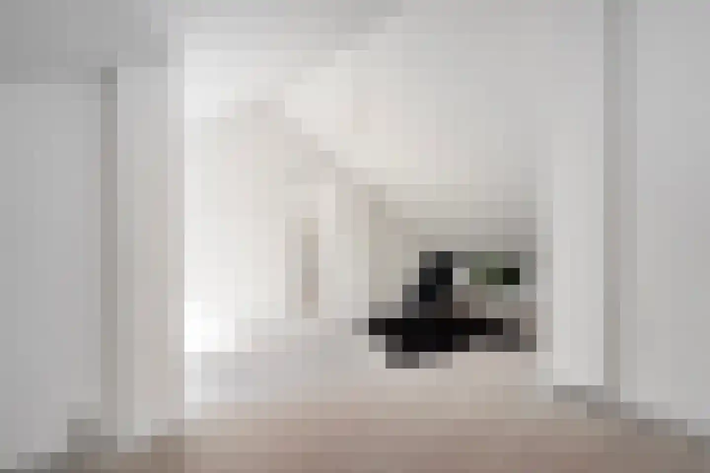 Theresiastraat 79 A Den Haag thumbnail 37