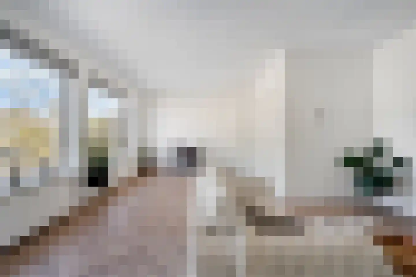 Theresiastraat 79 B Den Haag thumbnail 16