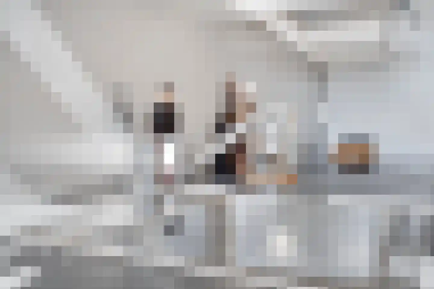 Theresiastraat 79 B Den Haag thumbnail 27