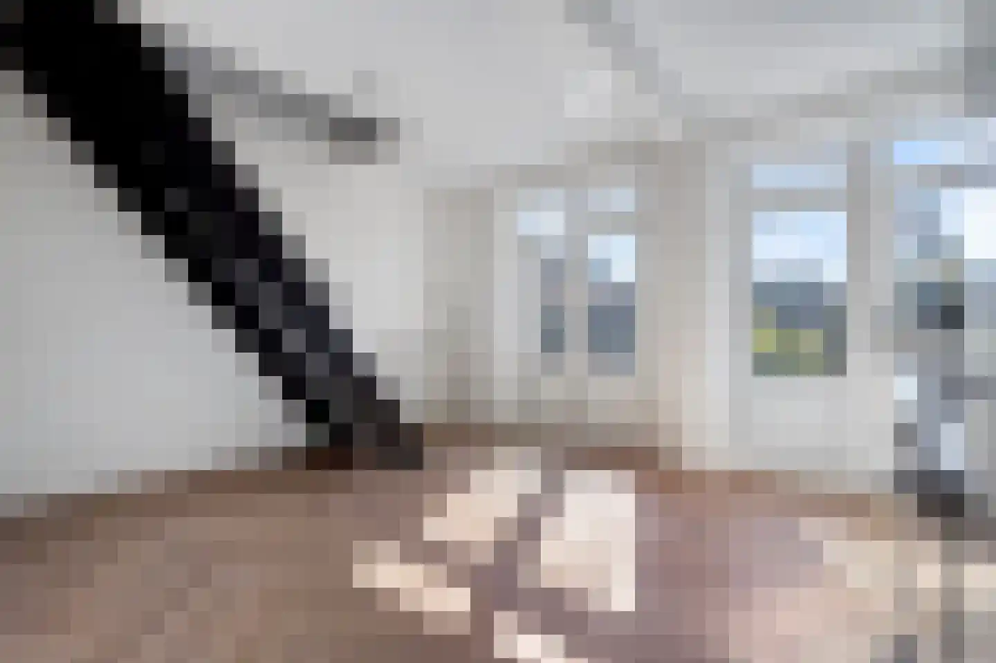 Theresiastraat 79 B Den Haag thumbnail 28