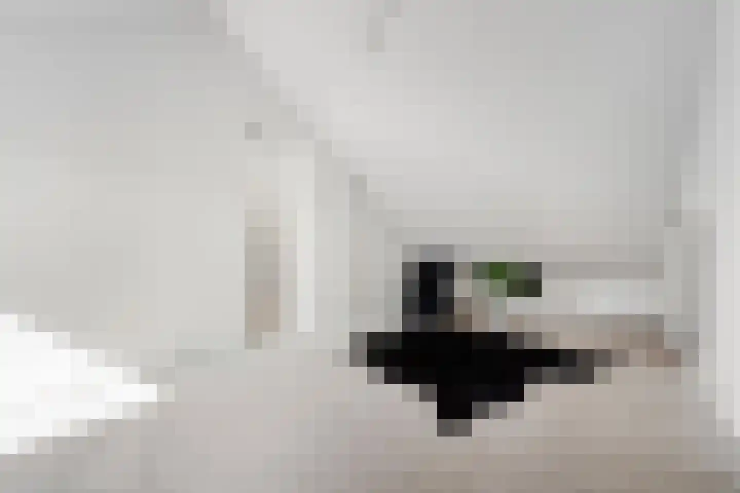 Theresiastraat 79 B Den Haag thumbnail 38