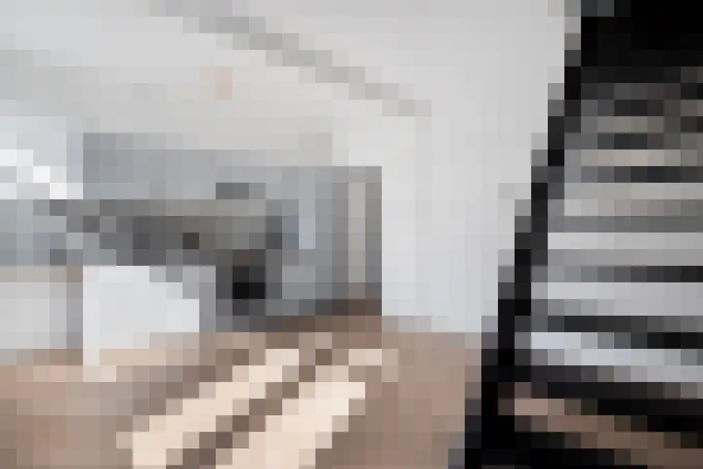 Theresiastraat 79 B Den Haag thumbnail 4
