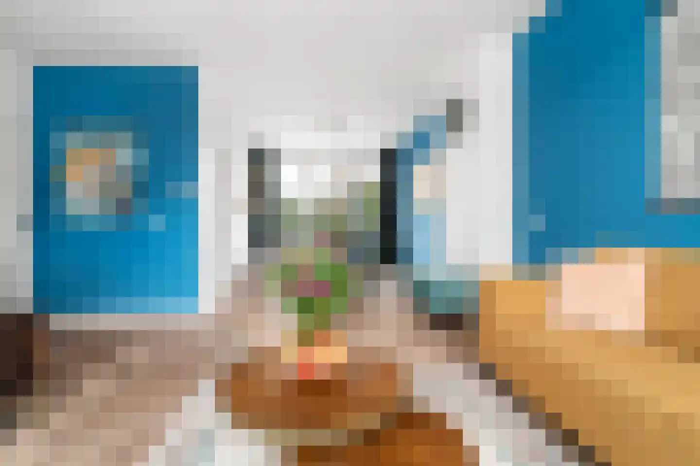 Theresiastraat 8 Echt thumbnail 8