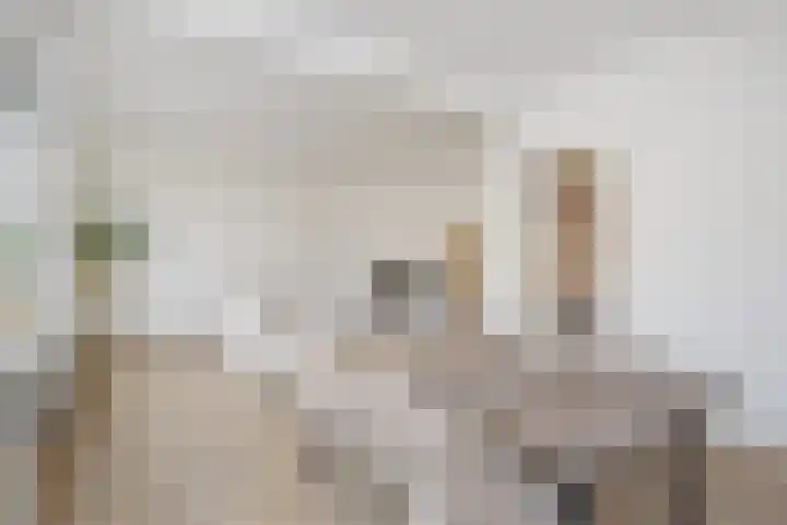 Theresiastraat 81 B Den Haag thumbnail 12