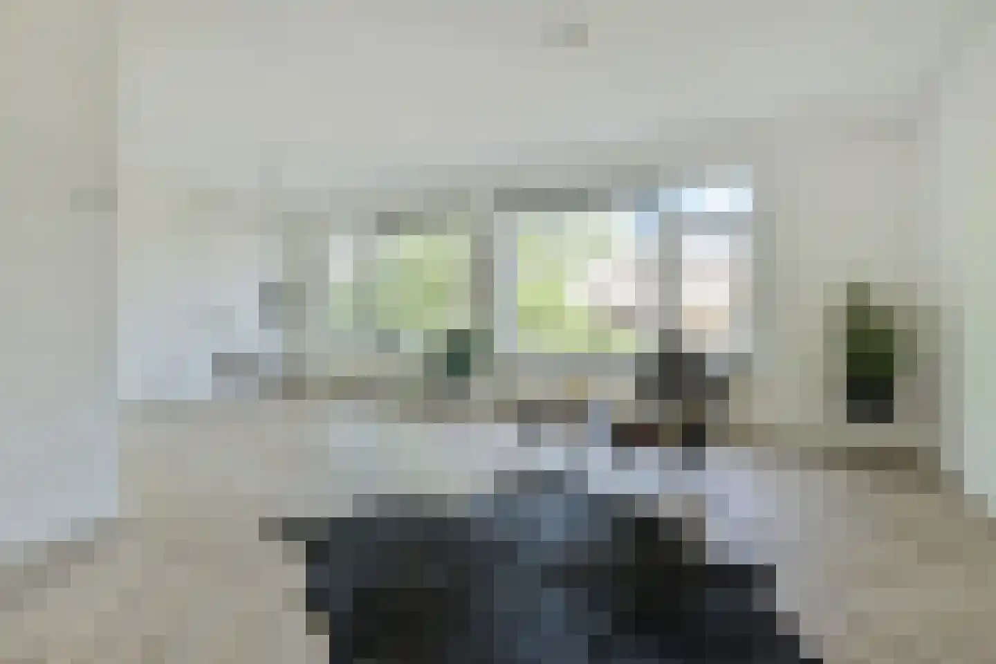 Theresiastraat 81 B Den Haag thumbnail 14