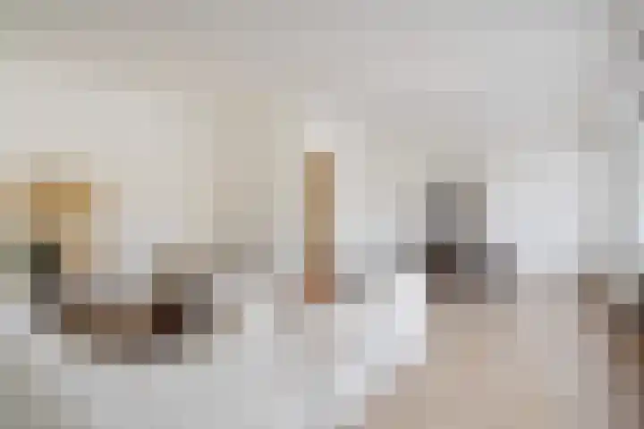 Theresiastraat 81 B Den Haag thumbnail 15