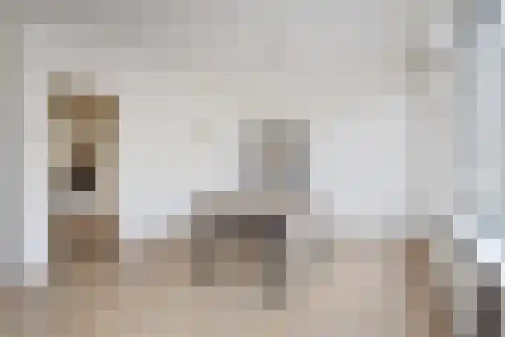 Theresiastraat 81 B Den Haag thumbnail 17