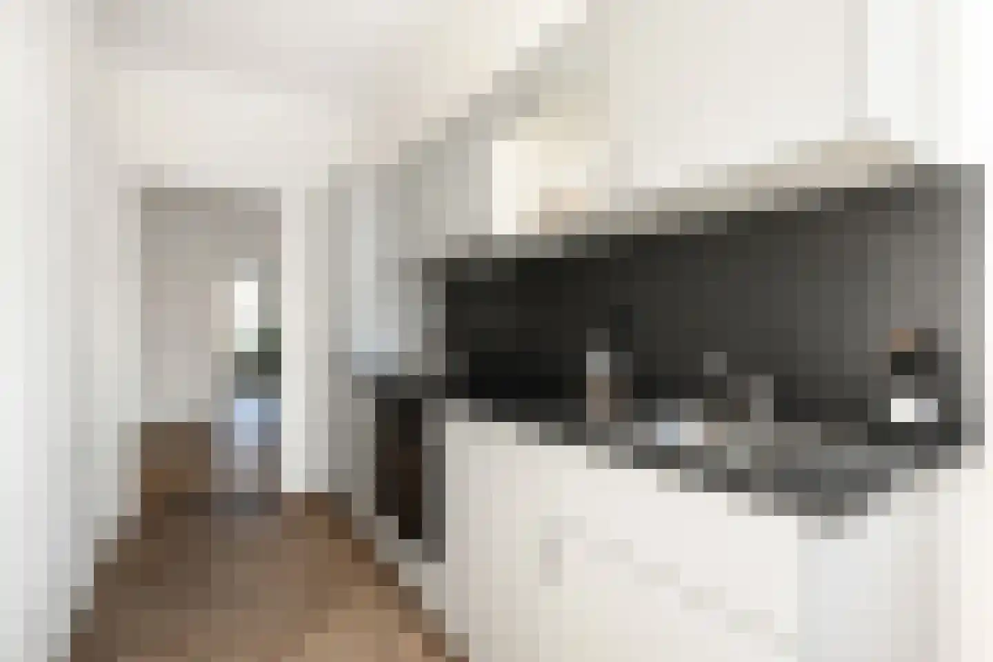 Theresiastraat 81 B Den Haag thumbnail 18