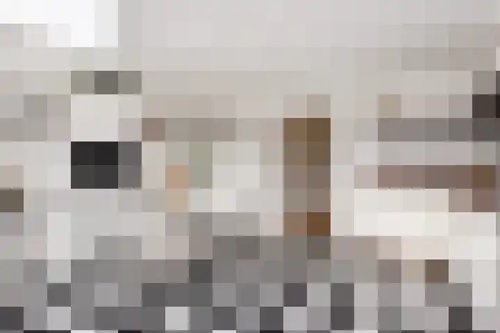 Theresiastraat 81 B Den Haag thumbnail 19