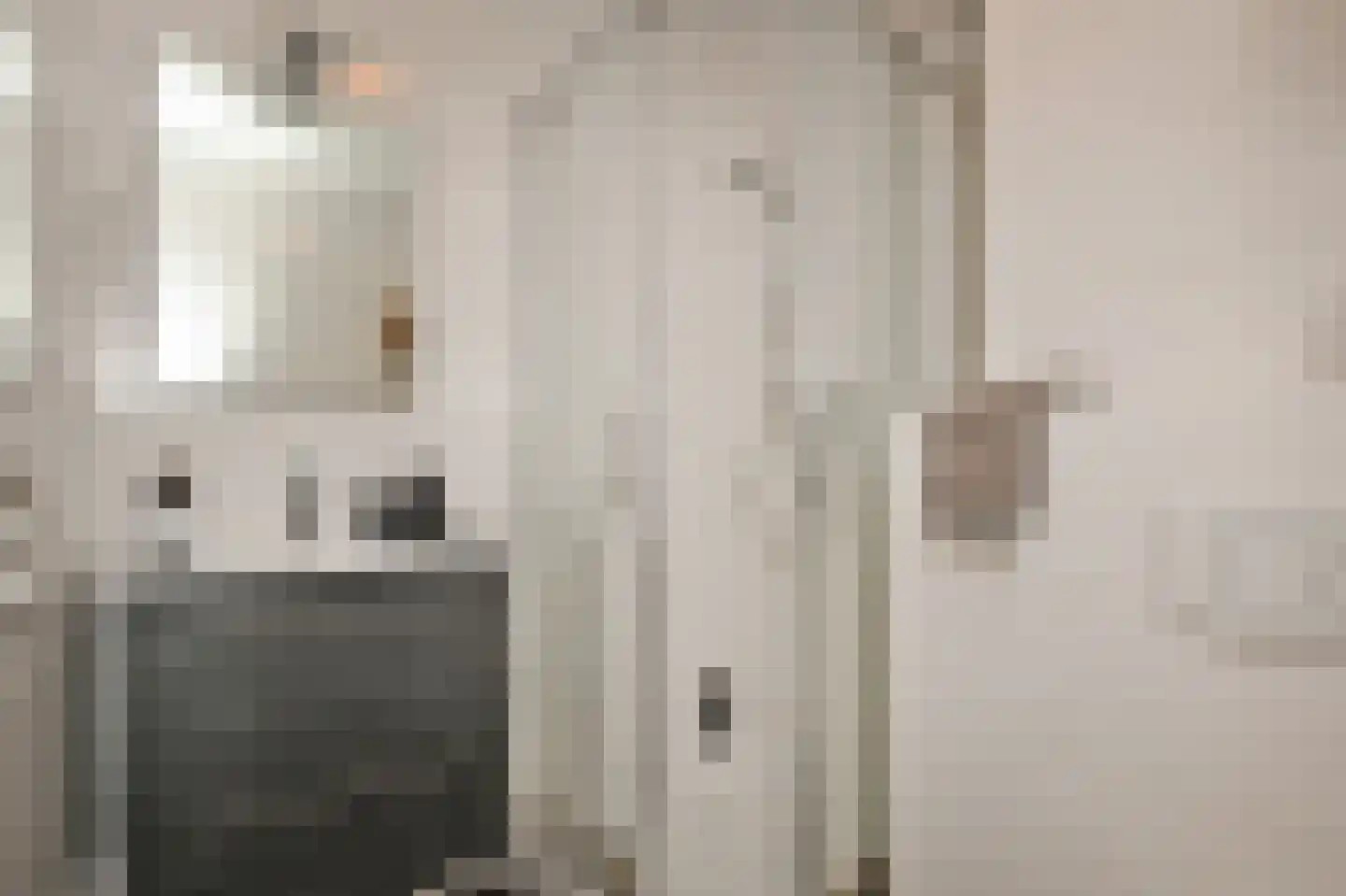 Theresiastraat 81 B Den Haag thumbnail 20