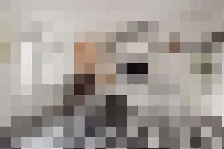 Theresiastraat 81 B Den Haag thumbnail 21