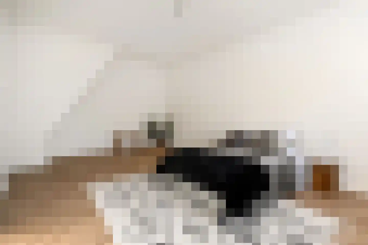Theresiastraat 81 B Den Haag thumbnail 24