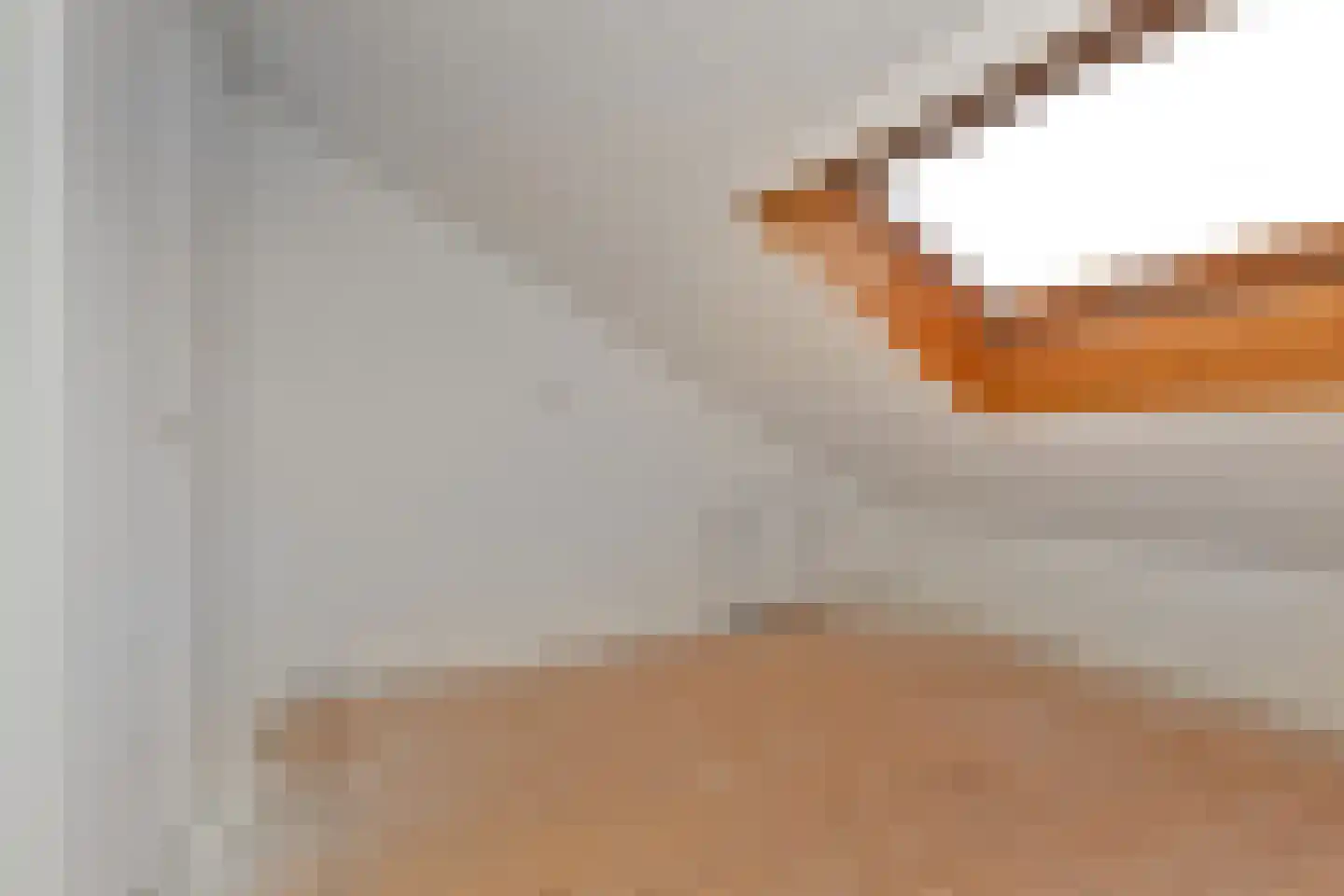 Theresiastraat 81 B Den Haag thumbnail 30