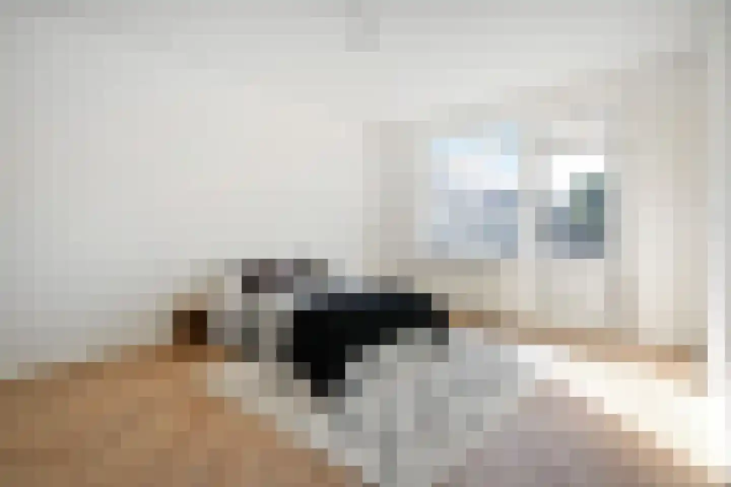 Theresiastraat 81 B Den Haag thumbnail 4