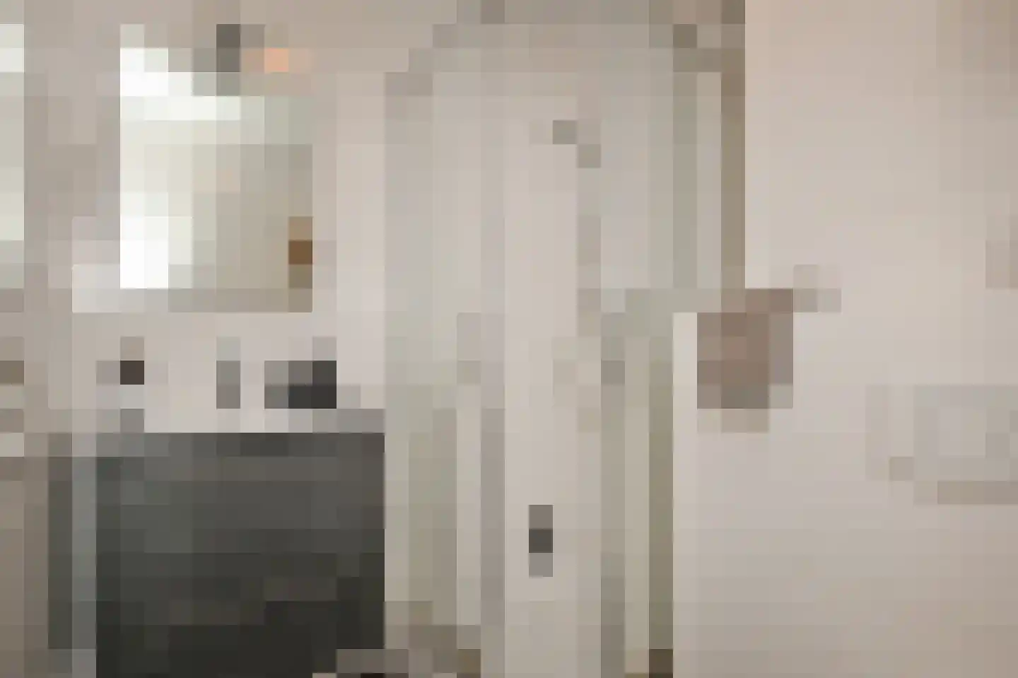 Theresiastraat 81 B Den Haag thumbnail 5