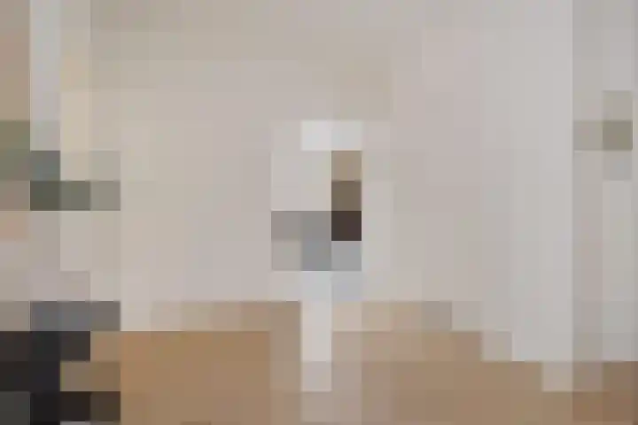 Theresiastraat 81 B Den Haag thumbnail 8