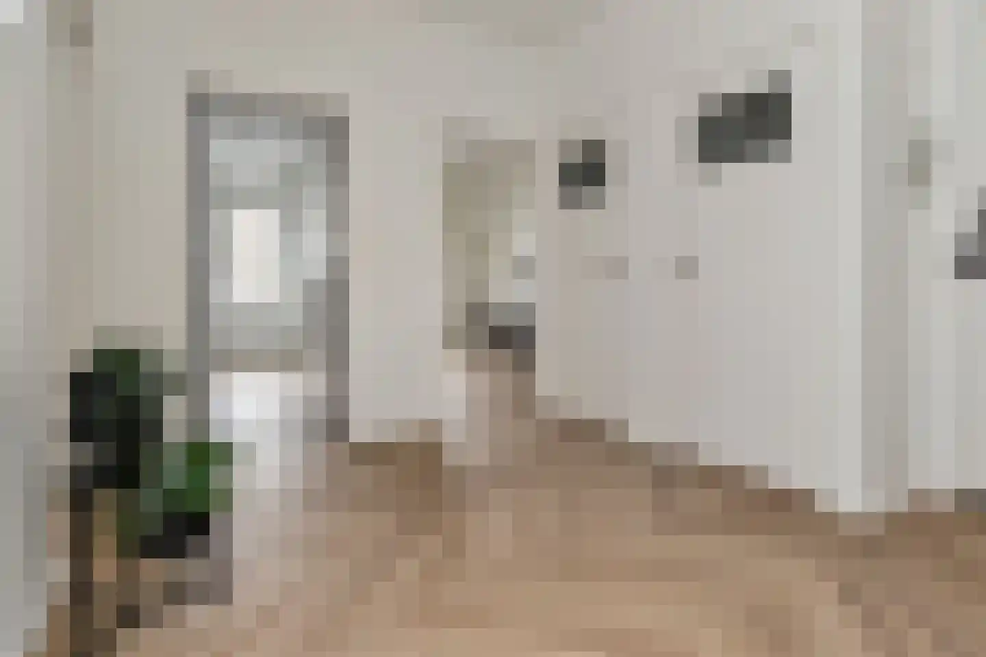 Theresiastraat 85 B Den Haag thumbnail 10