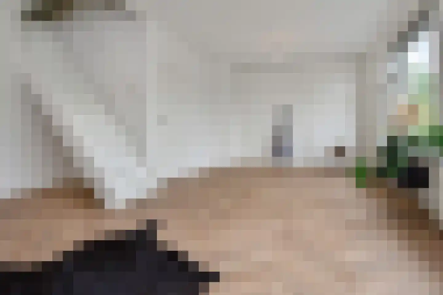 Theresiastraat 85 B Den Haag thumbnail 17