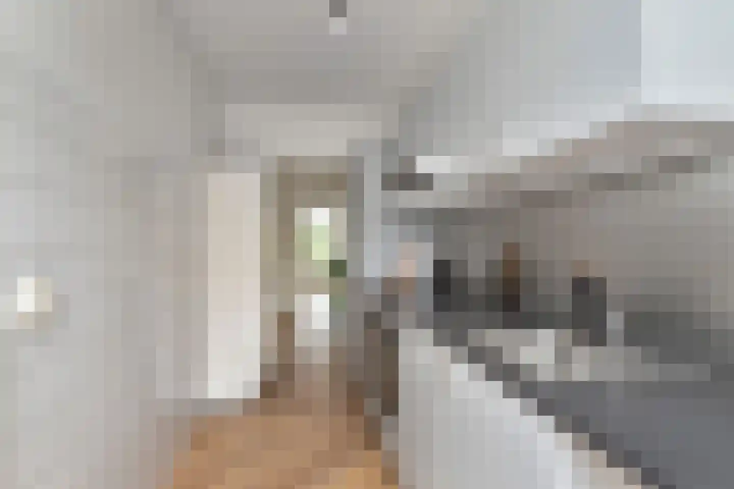 Theresiastraat 85 B Den Haag thumbnail 22