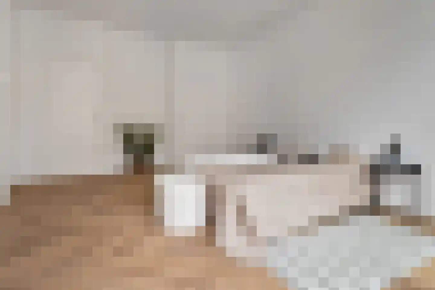 Theresiastraat 85 B Den Haag thumbnail 24