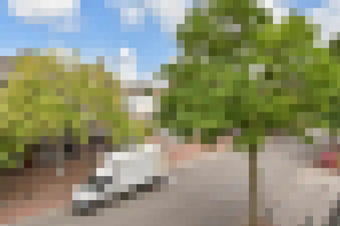Theresiastraat 85 B Den Haag thumbnail 25