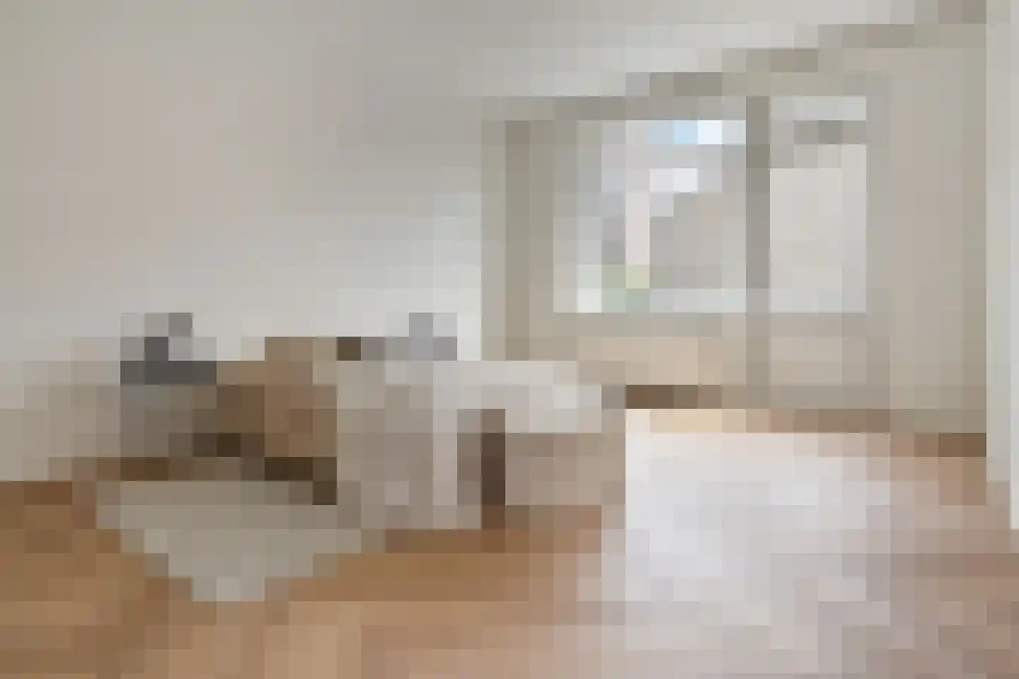Theresiastraat 85 B Den Haag thumbnail 4