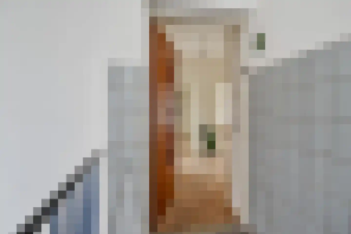 Theresiastraat 85 B Den Haag thumbnail 8