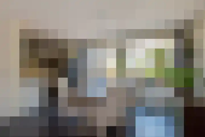 Theresiastraat 9 Delft thumbnail 18