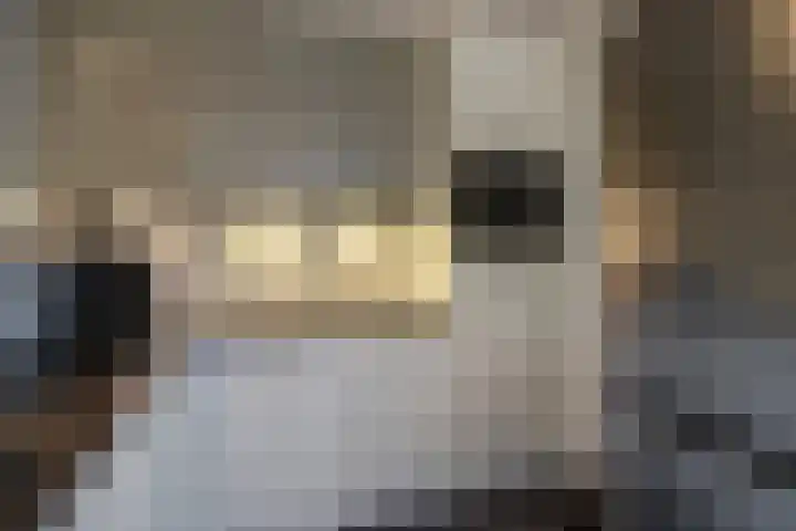 Theresiastraat 9 Delft thumbnail 20