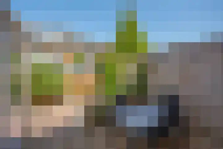 Theresiastraat 9 Delft thumbnail 22