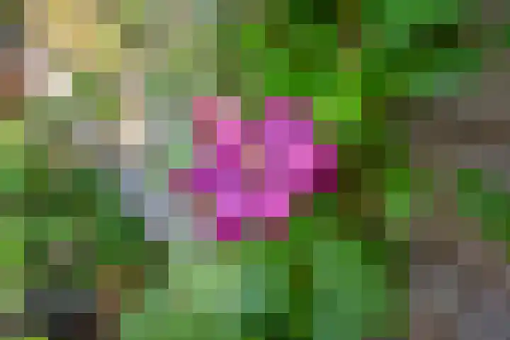 Theresiastraat 9 Delft thumbnail 25