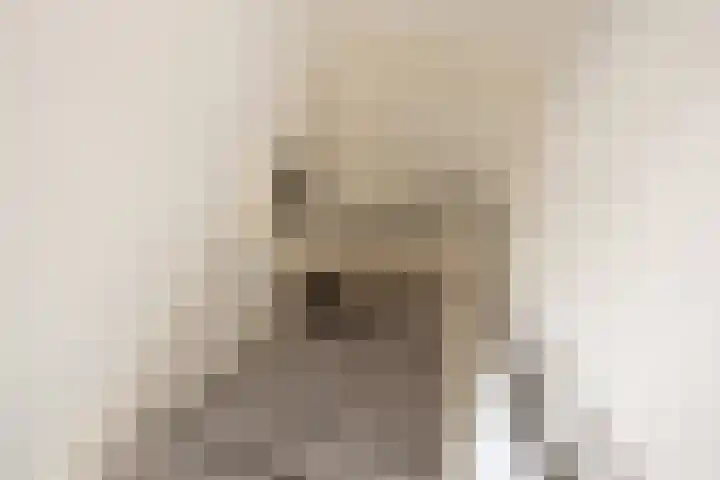 Theresiastraat 9 Delft thumbnail 26