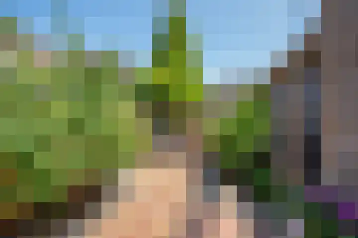 Theresiastraat 9 Delft thumbnail 5