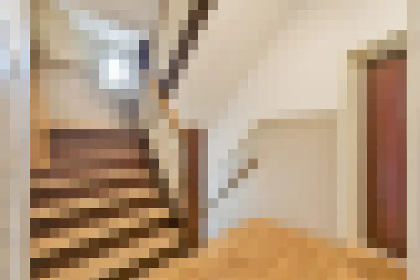 Theseusstraat 12 2 Amsterdam thumbnail 17