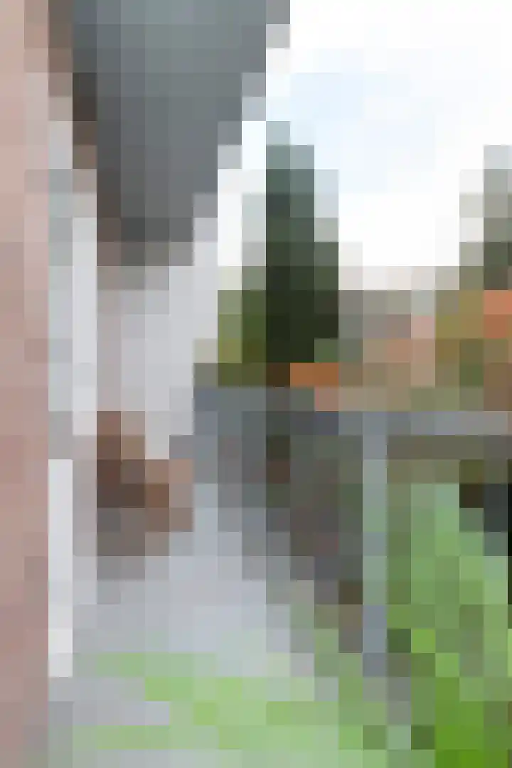 Theseusstraat 13 1 Amsterdam thumbnail 10
